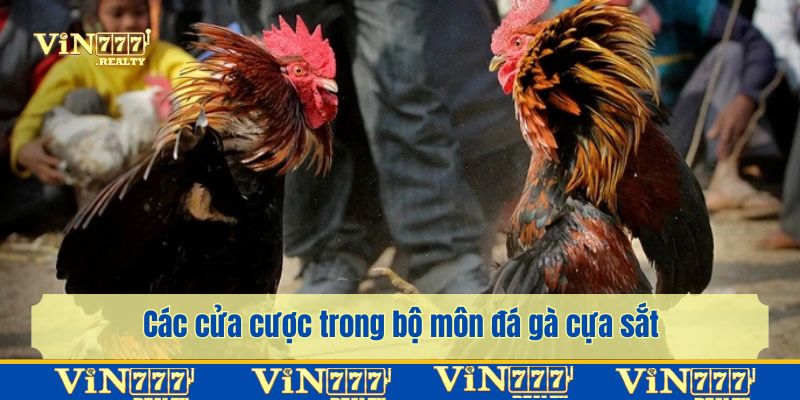 Các cửa cược trong bộ môn đá gà cựa sắt