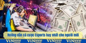 Cá cược Esports