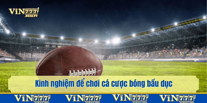 Bí kíp giúp bạn săn thưởng từ bộ môn bầu dục dễ dàng