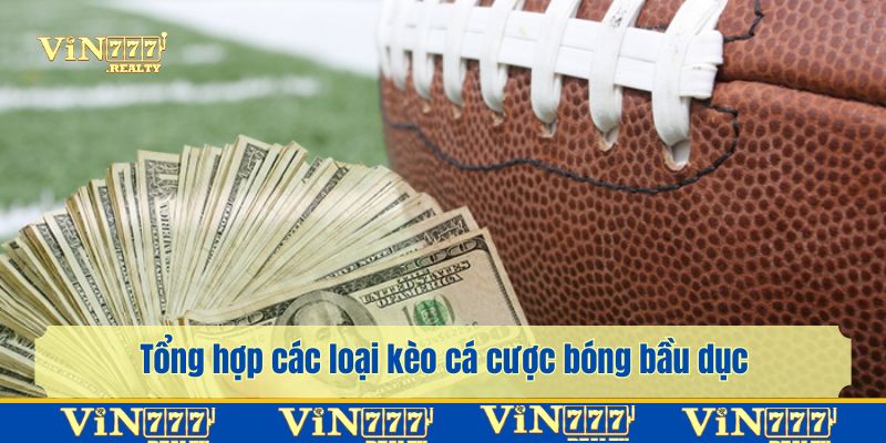 Các loại cược để tham gia trong bộ môn cá cược bóng bầu dục
